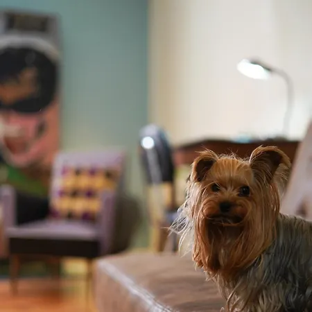 Unique Stylish House In Beautiful Graca Apartamento